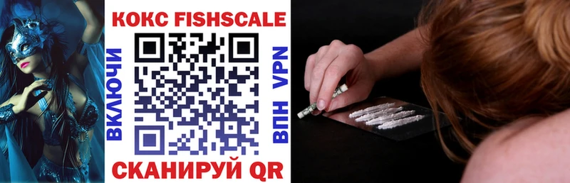 Кокаин FishScale  где купить наркотик  Плавск 