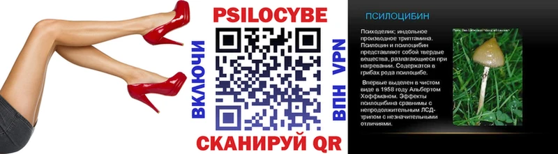 omg как зайти  даркнет Telegram  Псилоцибиновые грибы мицелий  Плавск 