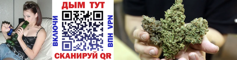 Бошки марихуана White Widow  как найти   Плавск 